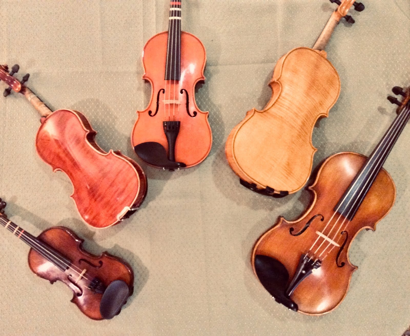 Harmonious convenience online violin viola and cello rentals